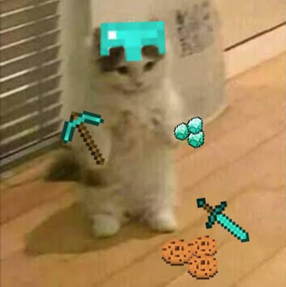 Meet your Posher, Xio - Picture 1 of 1